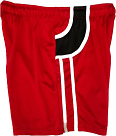 Ashton Soccer Shorts