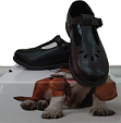 Hush Puppie Crown Shoe
