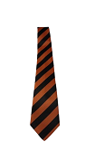 Sunward Park Prefect Tie