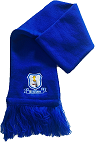 Bryanston Primary Scarf