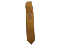 Alma Mater Gr 7&8 Tie