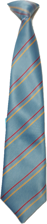 Bosmansdam Primary Clip on Tie 36cm