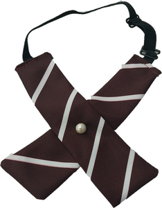 Aspiration Bow Tie