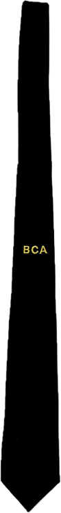 Bellville Christian Academy Tie 132cm