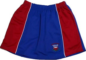 Bryanston Parallel Medium School Skort