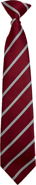 Bellville Primary Clip on Tie 36cm