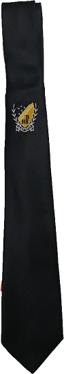 Benoni Matric Tie 136cmx8cm