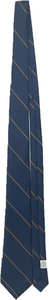 Brackenfell High Tie 142cm