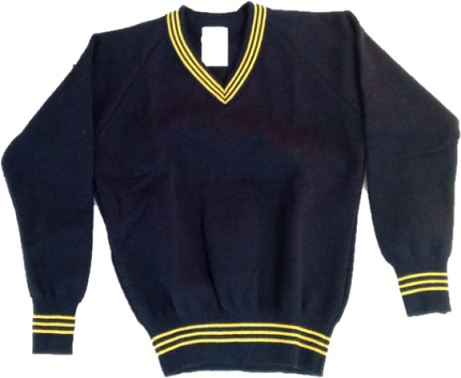 Laerskool Fontainebleau Jersey