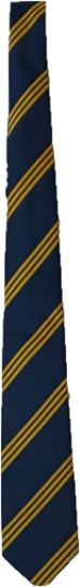 Laerskool Fontainebleau Tie 122cm