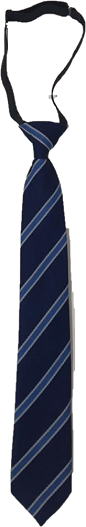 Parklands College Jnr Tie