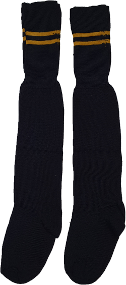 Laerskool Kruinsig Socks (Double Pack)
