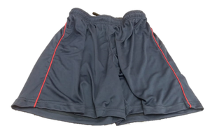 DLS Soccer Shorts