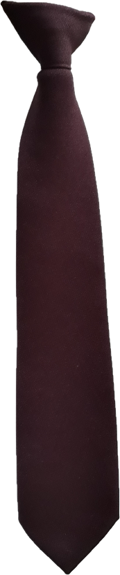 Parow North Primary Clip on Tie 36cm