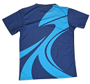 Reddam Blue House T-shirt