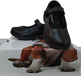 Hush Puppie Scala Shoe