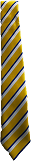 Bryneven Primary School Tie 122cmx7cm