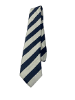 Reddam Prep Gold Tie 122cm