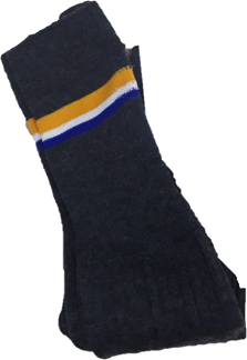 Bryneven Primary School Socks (Double Pack)