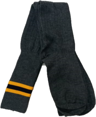 Laerskool Fontainebleau Socks (Double Pack)