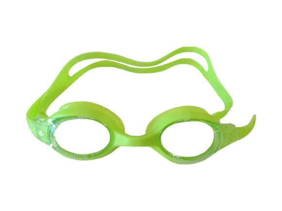 Eversdal Goggles
