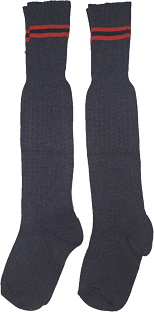 Laerskool Edleen Socks (Double Pack)